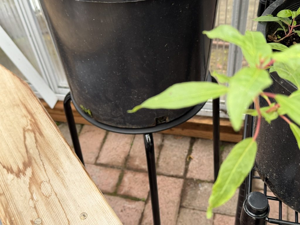 Greenhouse Staging 15